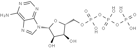 56-65-5 Adenosine triphosphate 56-65-5 Adenosine triphosphate