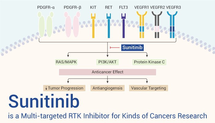 Sunitinib Sunitinib